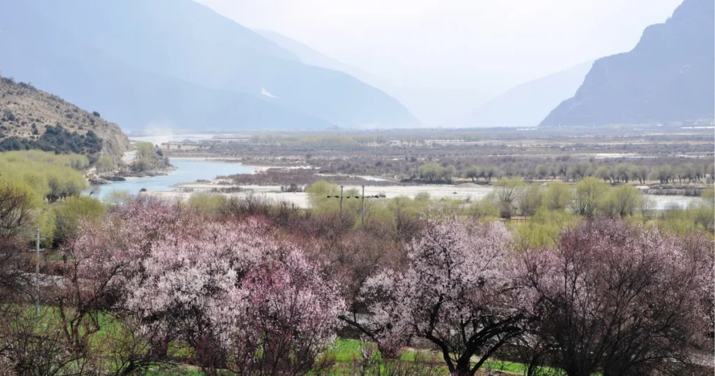 Linzhi